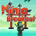 Ninja Breakout
