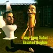 Tung Tung Sahur Haunted Asylum